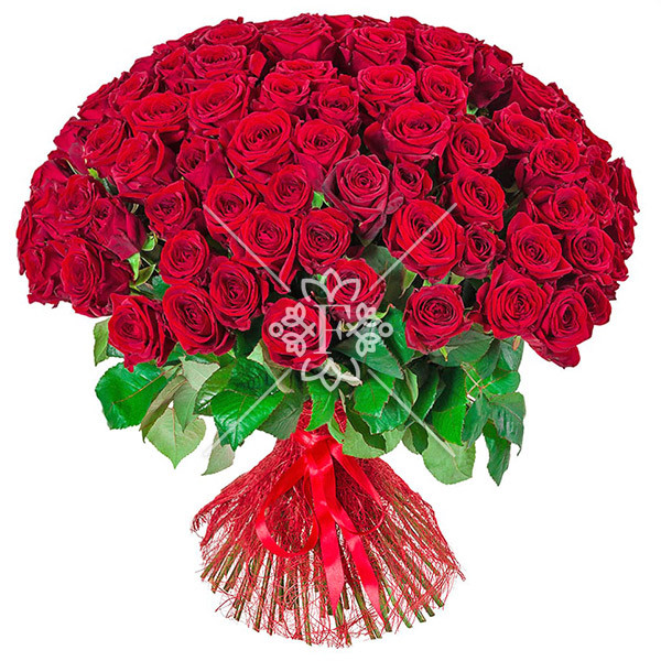 101 красная роза